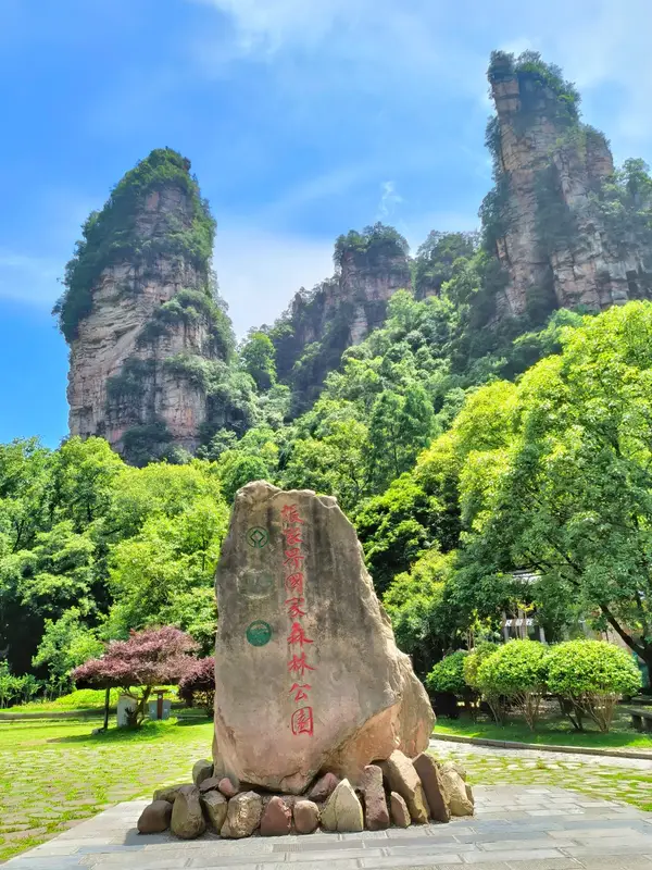 风景
